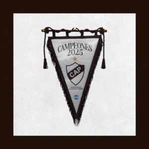 Banderin Triangular del Campeón