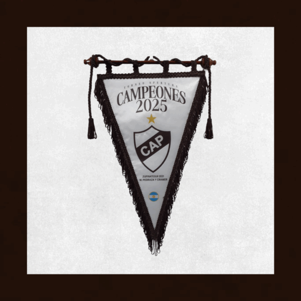 Banderin Triangular del Campeón
