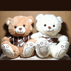 Oso de Peluche
