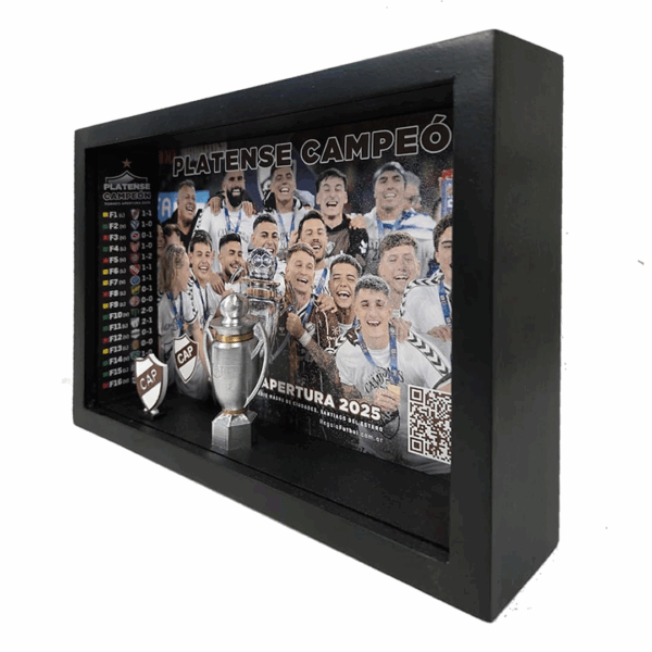 Cuadro Campeones - Imagen 2