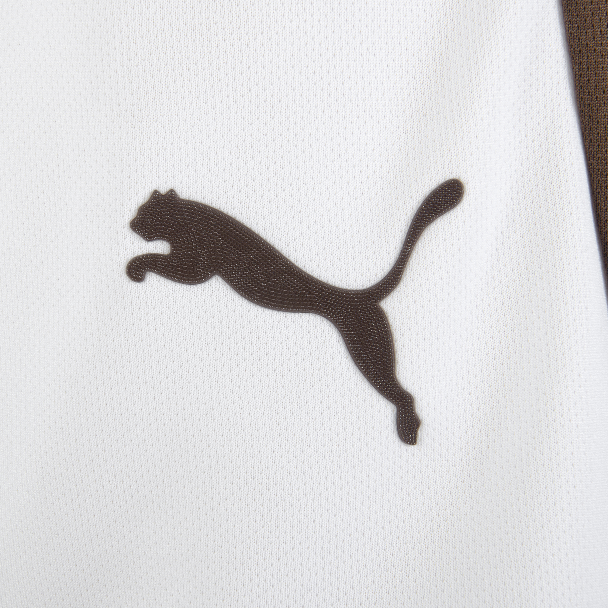 Short Titular 2026 - Imagen 4