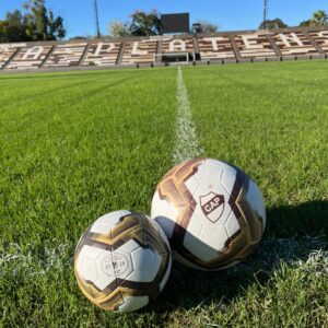 Pelota